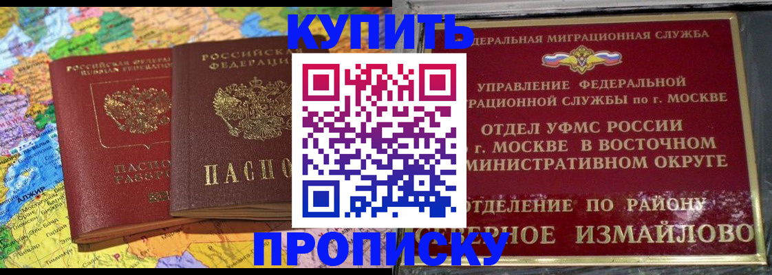 временная регистрация для всех в Камышине